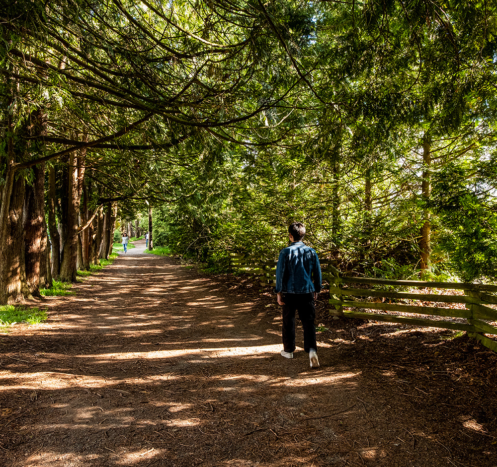 Savannah - Langara Walking Trails